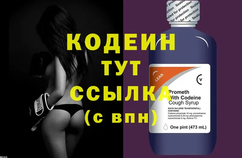 Кодеиновый сироп Lean Purple Drank  цены   мега   Дмитриев 